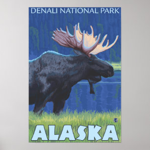 Pôster Moose at Night - Denali Nat'l Park, Alaska