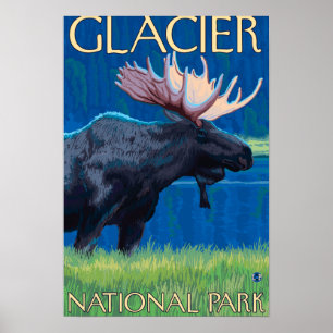 Pôster Moose at Night - Glacier National Park, MT