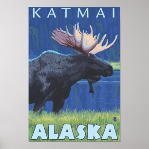 Pôster Moose at Night - Katmai, Alaska
