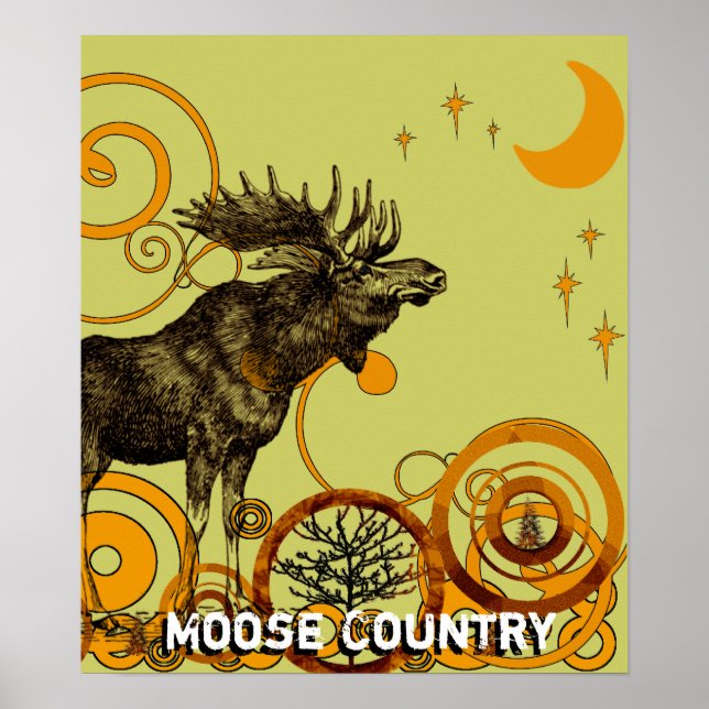 Pôster Moose Country (Frente)