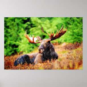 Poster Moose Lançando Cores Aquáticas Pintando Arte Selva