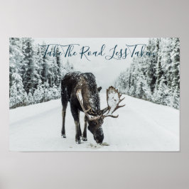 Poster Moose No Inverno Em Estrada Com Cotação