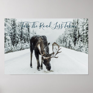 Poster Moose No Inverno Em Estrada Com Cotação
