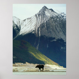 Poster Moose no Lago Medicine