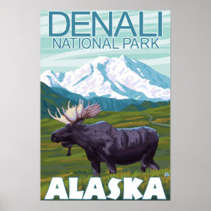 Pôster Moose Scene - Parque Nacional Denali, Alasca