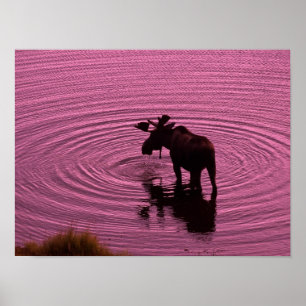 Poster Moose Silhouette