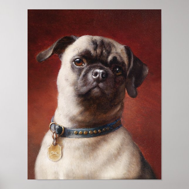 Poster Mops (Frente)