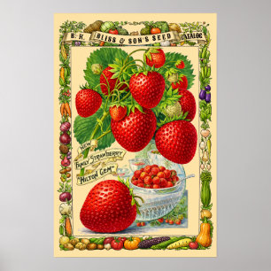 Poster Morangos Arte Botânica da Era Vitoriana Retrô
