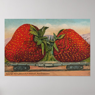 Pôster Morangos Gigante Antigo Fruta Diversão