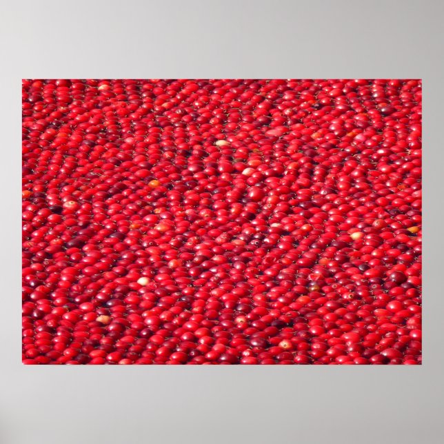 Poster Morangos Vermelho Festivo (Frente)