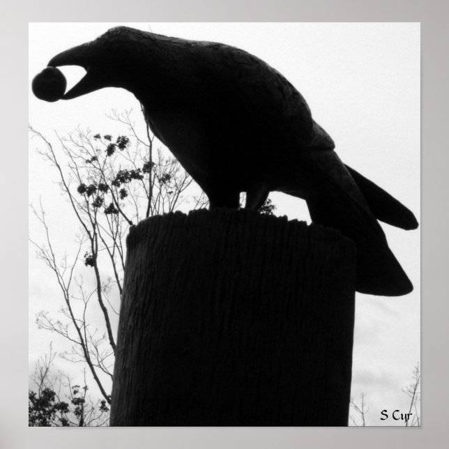 Pôster Mordida de Raven, S Cyr (Frente)