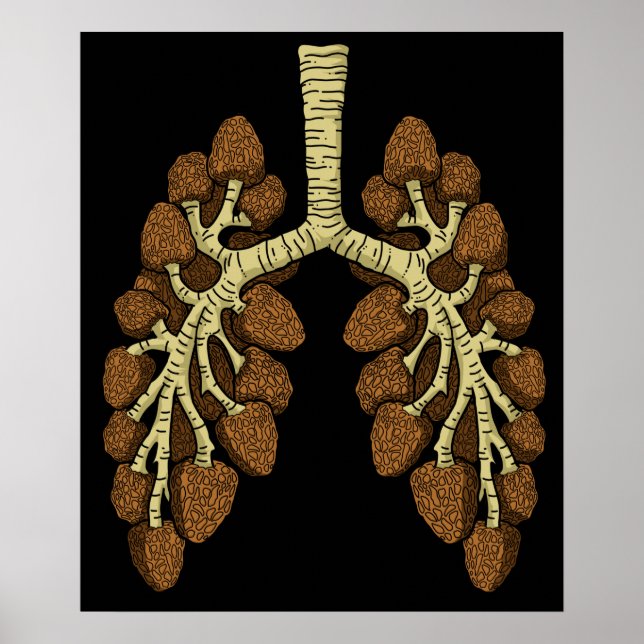 Poster Morel Mushroom Gift Mens Morel Mushroom Hunter (Frente)