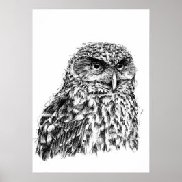 Poster Morepork