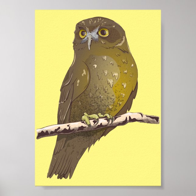 Poster Morepork RURU NZ ave (Frente)
