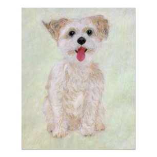 Pôster Morkie Dog Poster brilhante