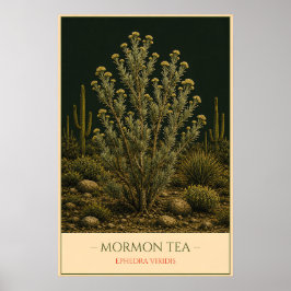 Poster Mormon Tea – Vintage Botanical Illustration