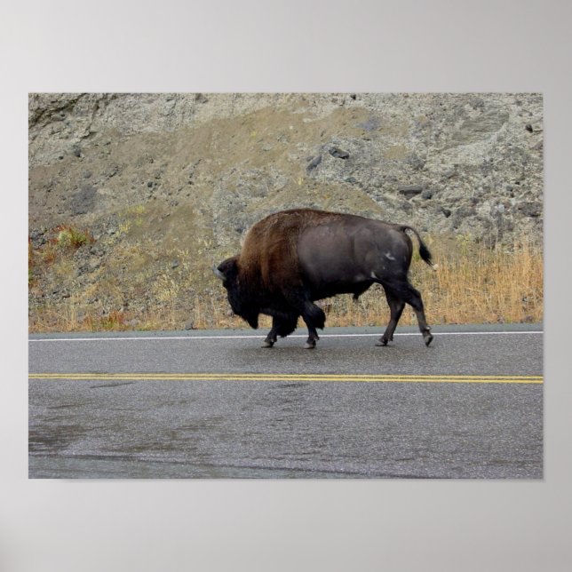 Pôster Morning Commute (Frente)