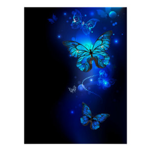 Pôster Morpho Butterfly in the Dark Background