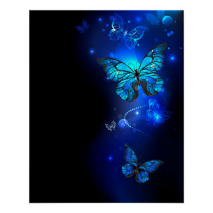Pôster Morpho Butterfly in the Dark Background