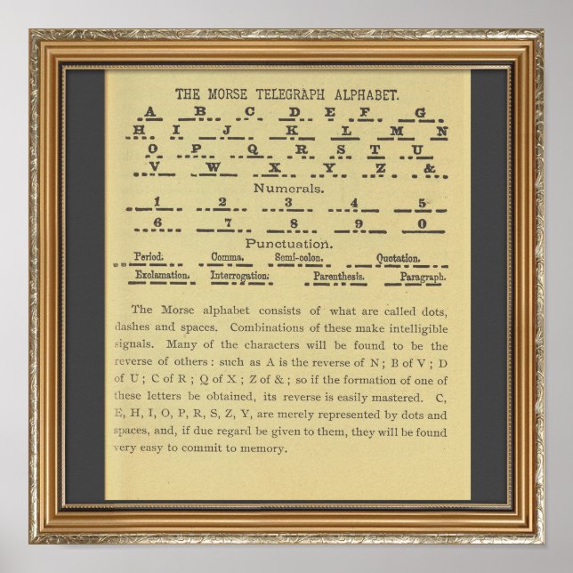 Poster Morse Code Alphabet (Frente)