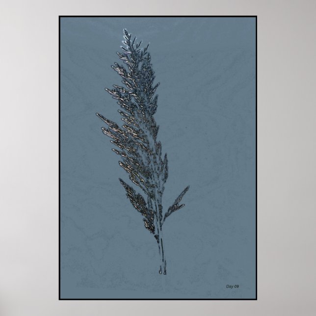 Pôster Morte da Luz (Frente)