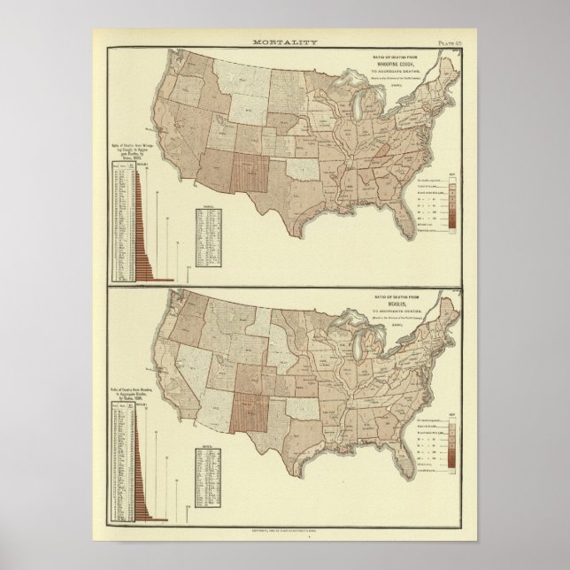 Poster Mortes, tosse convulsa, sarampo (Frente)