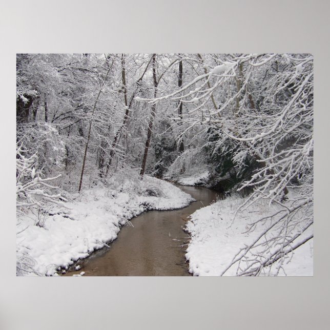 Pôster Morto do inverno (Frente)