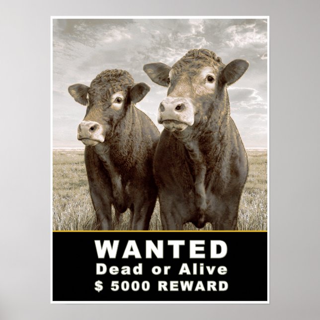Poster Morto ou Vivo 5000 $ REWARD DESEJADO (Frente)