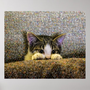 Poster Mosaic. bonito da foto do gatinho