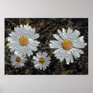 Pôster Mosaico Daisies 10