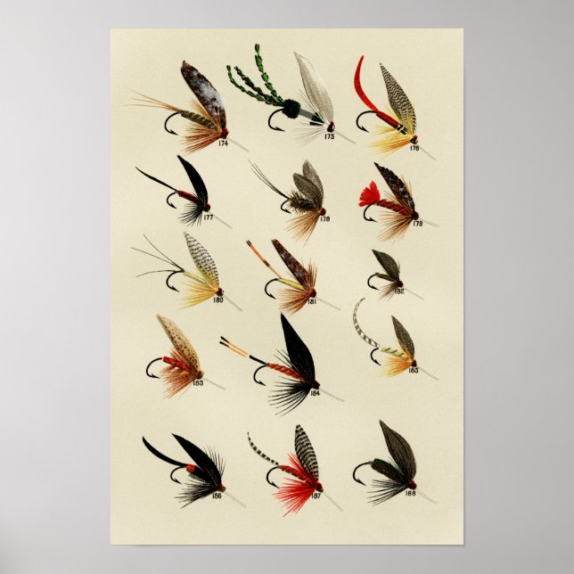 Poster Mosca de Truta 174 a 188 Vintage (Frente)