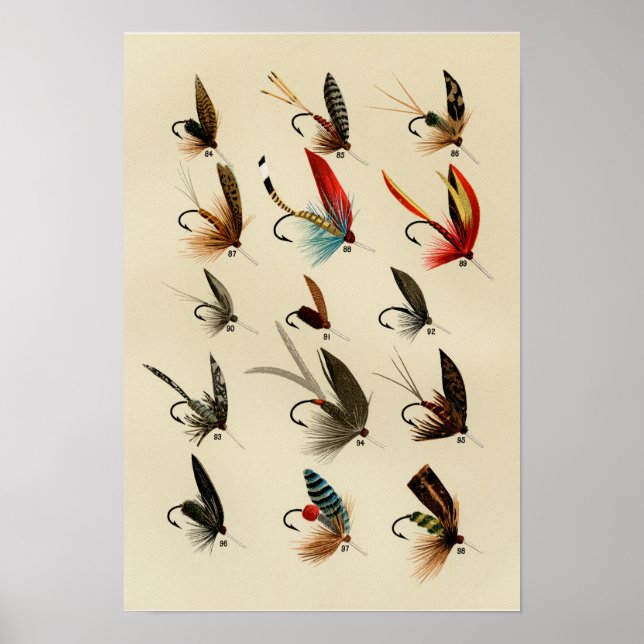 Poster Mosca de Truta 84 a 98 Vintage (Frente)