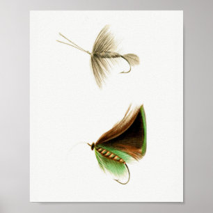 Poster Moscas de Pesca #2