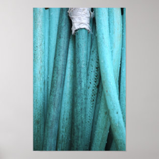 Pôster Mose Bandida