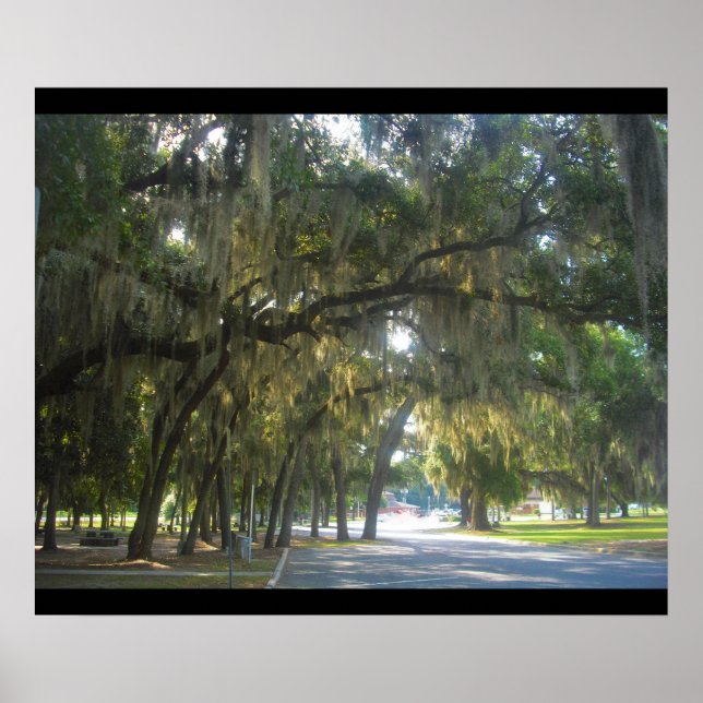 Pôster Moss Espanhol na Geórgia (Frente)