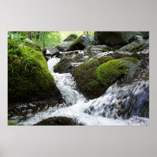 Pôster Moss Falls