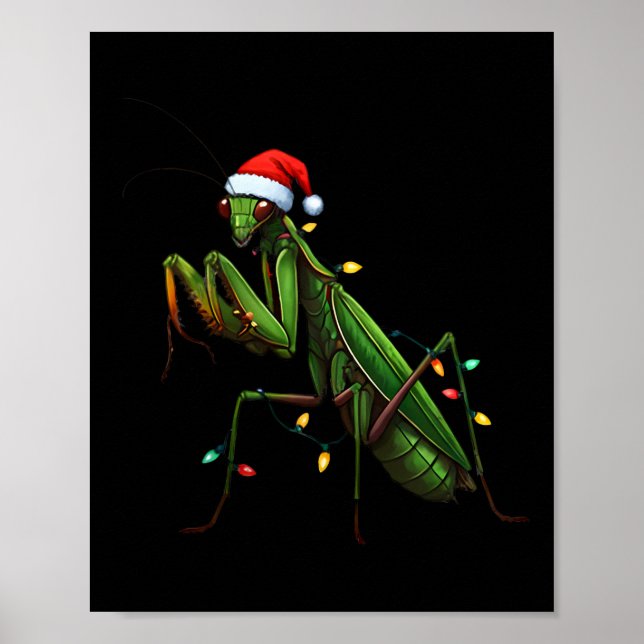 Poster Moss Mantis Natal Light Santa Hat Animal Insec (Frente)