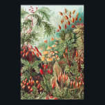 Poster Mosses, Muscinae Laubmoose por Ernst Haeckel<br><div class="desc">Muscinae Laubmoose por Ernst Haeckel Vintage Plant Poster</div>