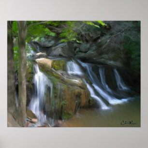 Poster Mossy Falls - Pintura