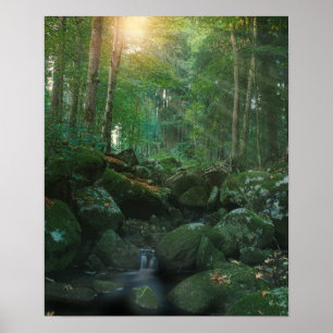 Poster Mossy Woodland Stream