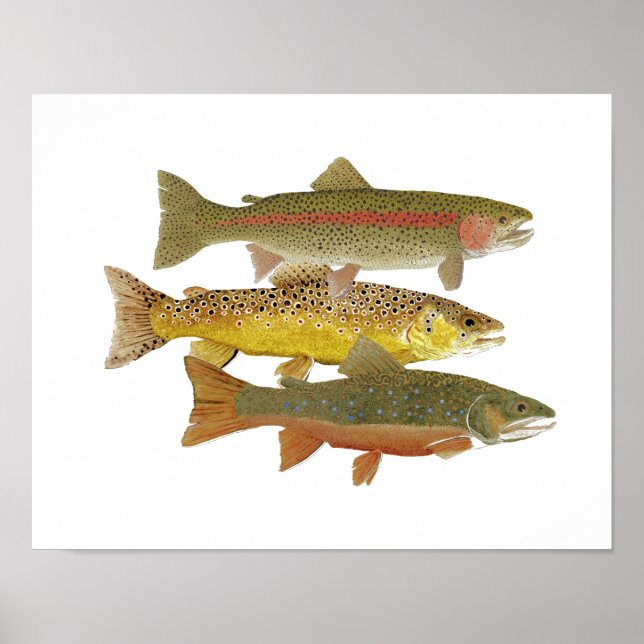 Poster Most Popular Trout Artwork (Frente)