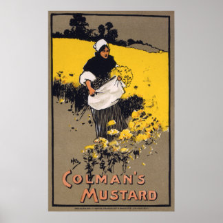 Pôster Mostarda de Colman, 1900