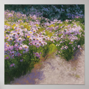 Pôster Mostra do áster de Buckhorn