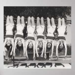 Poster Mostradores em bares de macacos, designs brincalhã