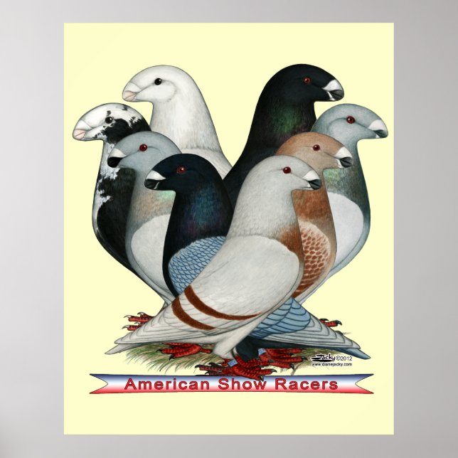 Pôster Mostrar Raios Oito (Frente)