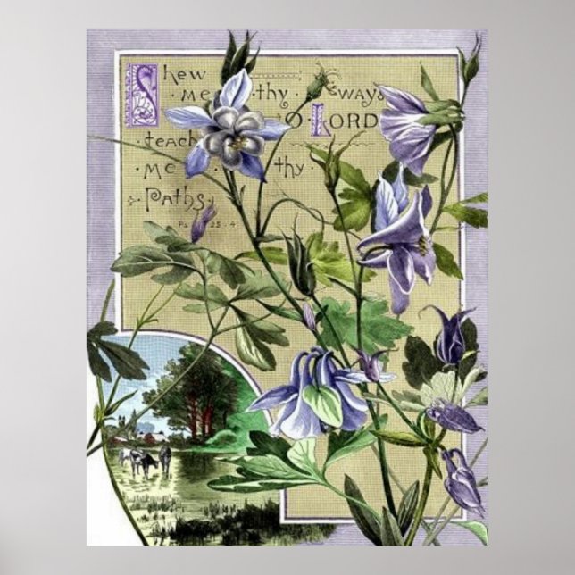 Poster Mostre-me o caminho (Frente)