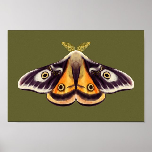 Poster Moth Insect Art Goblincore Saturnia Witchy Green (Frente)