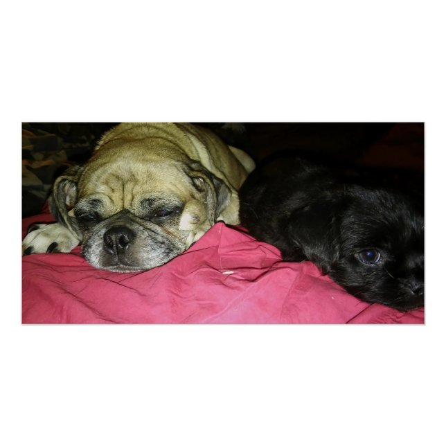 Pôster Mother and Son (Frente)