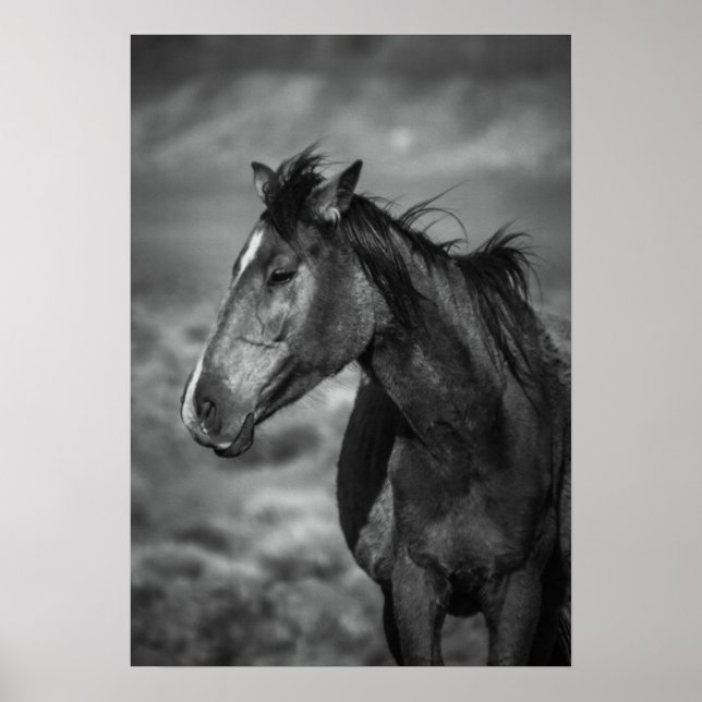 Poster mother horse (Frente)