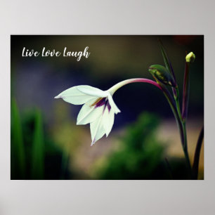 Poster Motivação da Flor do Jardim Gladiolus Branco